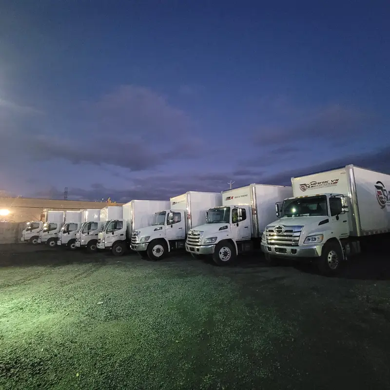 La flotte de camions Mark VII Transport alignée au crépuscule