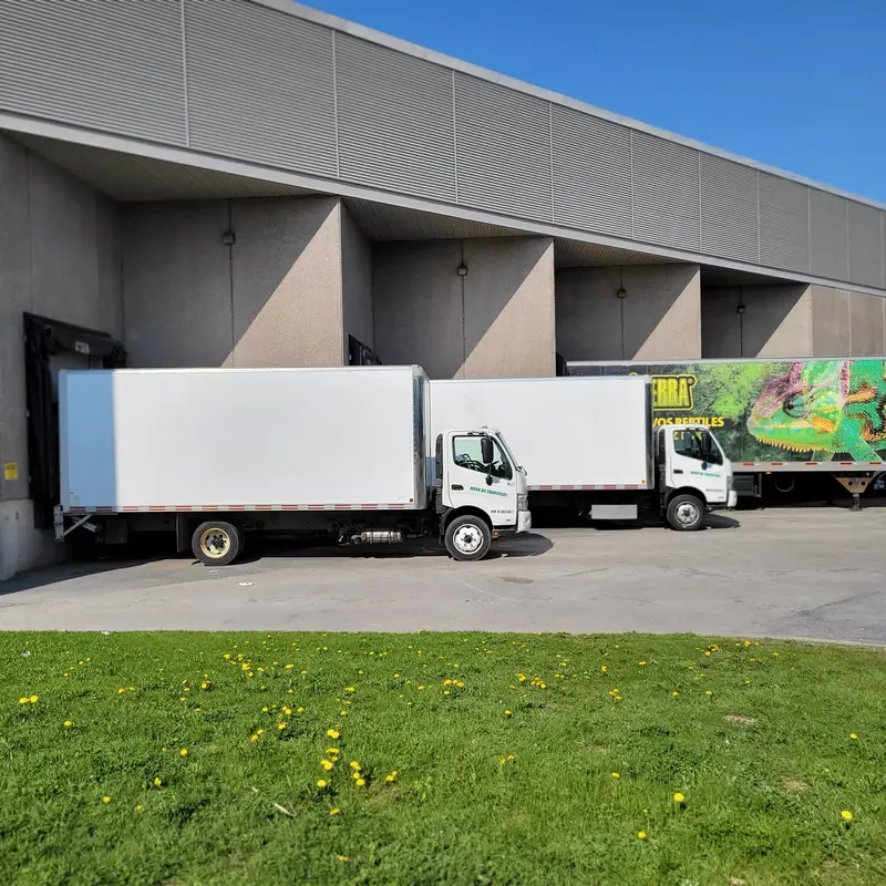 Cross-docking operation